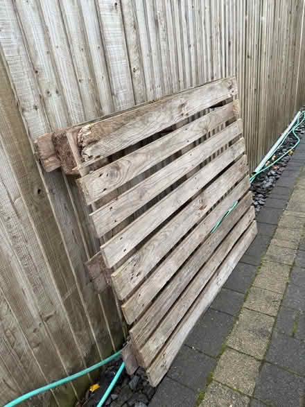 Photo of free Wood Pallet (Berkhamsted HP4) #1