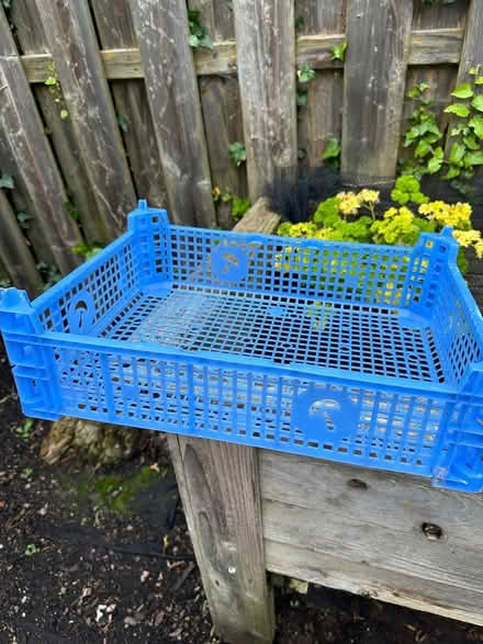 Photo of free Veg tray (Starbeck HG1) #1