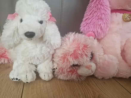 Photo of free PINK cuddly toy bundle (Isleworth TW7) #3