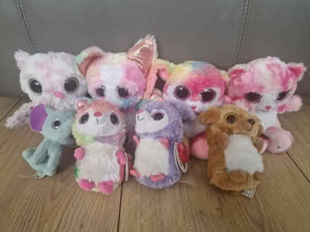 Photo of free 8 x multicoloured cuddly toy bundle (Isleworth TW7) #1