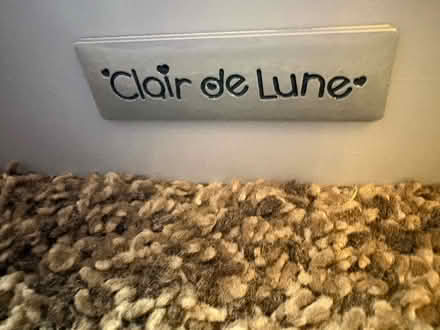 Photo of free Claire de lune Moses basket & stand (St Albans AL2) #1