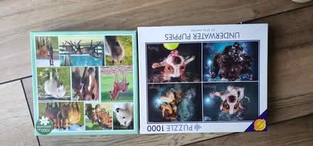 Photo of free 2 jigsaw puzzles (Pentyrch CF15) #1