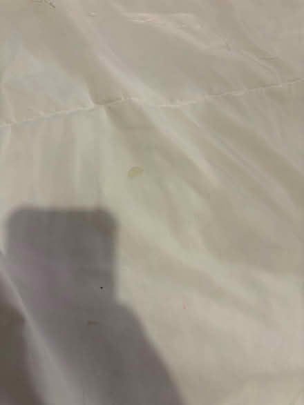 Photo of free Double duvet (Axminster) #3