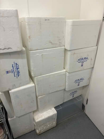 Photo of free Polystyrene insulated cool boxes (Westbourne Park W10) #1