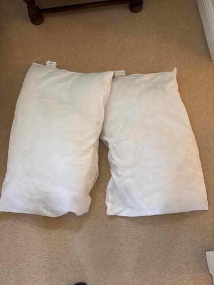 Photo of free 2 pillows (Alnwickhill EH16) #1