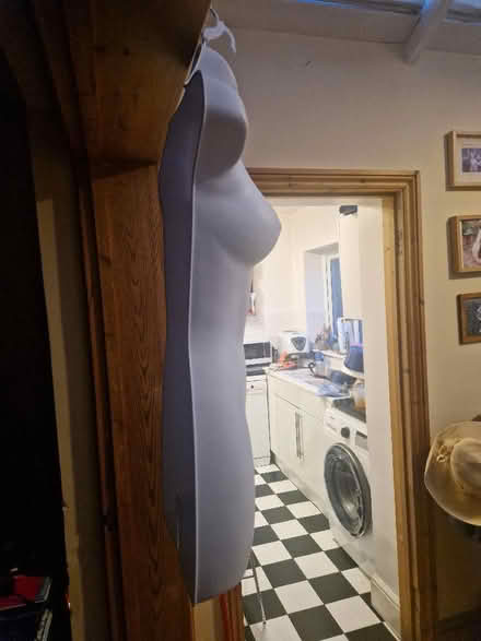 Photo of free Tailors dummy/mannequin (Cutteslowe OX2) #2