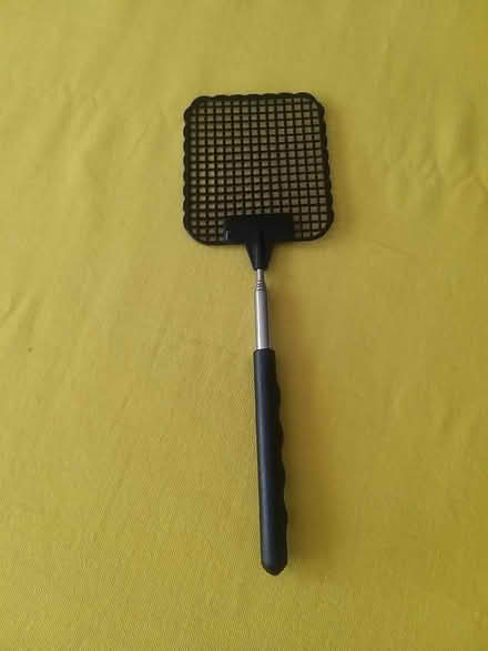 Photo of free Extendable fly swat (Penwortham PR1) #1
