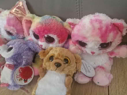 Photo of free 8 x multicoloured cuddly toy bundle (Isleworth TW7) #3