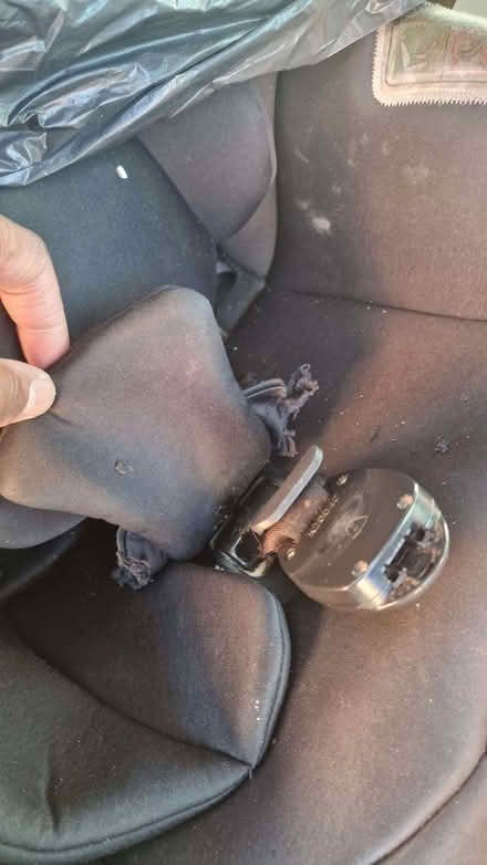Photo of free Car seat - newborn to 36 months (Shrub End CO2) #2