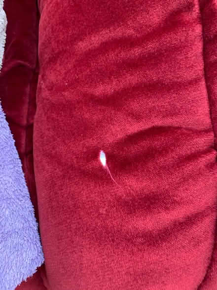 Photo of free 2 arm chairs (Wallington SM6) #3