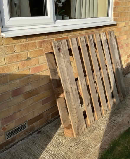 Photo of free Wooden pallet (Kennington OX1) #1