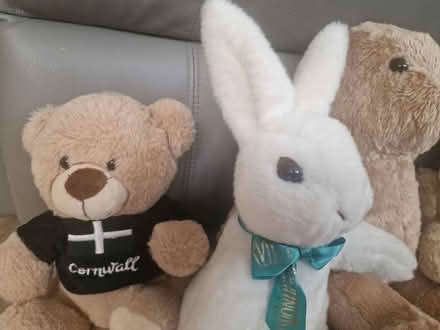 Photo of free Bunny and bears cuddly toy bundle (Isleworth TW7) #2