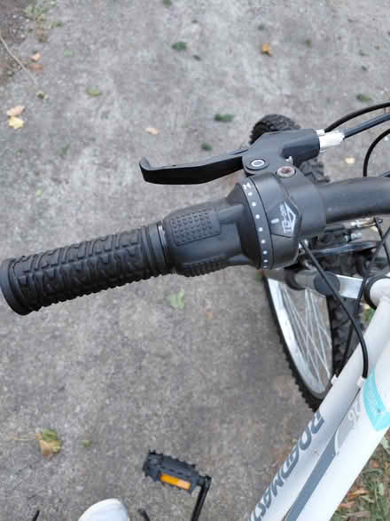 Photo of free Ladies bike (Roslindale) #3