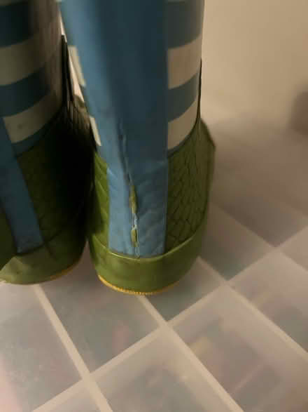 Photo of free Wellies (Lewisham) #4