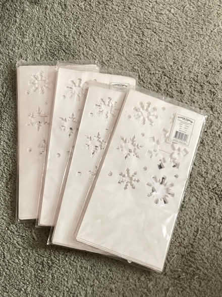 Photo of free Snowflake Luminary Bags (Prospect Park) #1