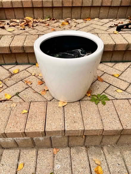Photo of free Plant pot (self watering) (83rd & Mendingwall) #1