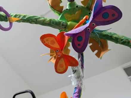 Photo of free Jungle themed sensory play mat (Royal college street NW1) #2