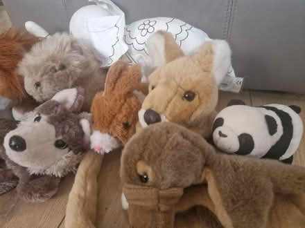 Photo of free Wild animal cuddly toy bundle (Isleworth TW7) #3