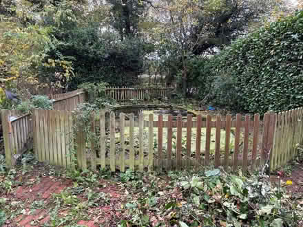 Photo of free Picket fence and gate (Shipley RH13) #1