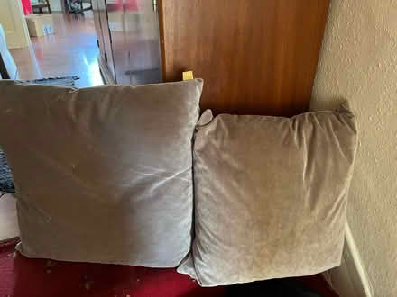 Photo of free Cushions (N10 2NL) #1
