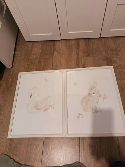 Photo of free 2 pictures for girls / baby room (Droylsden M43) #1