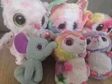 Photo of free 8 x multicoloured cuddly toy bundle (Isleworth TW7) #2