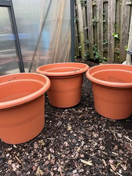 Photo of free Large plant pots (Starbeck HG1) #1