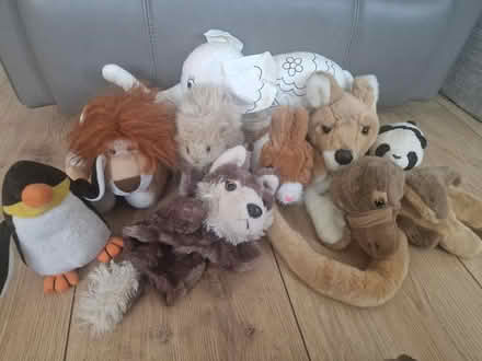Photo of free Wild animal cuddly toy bundle (Isleworth TW7) #1