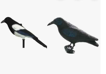 Photo of Magpie decoy / toy / teddy (Lansdown GL50) #1