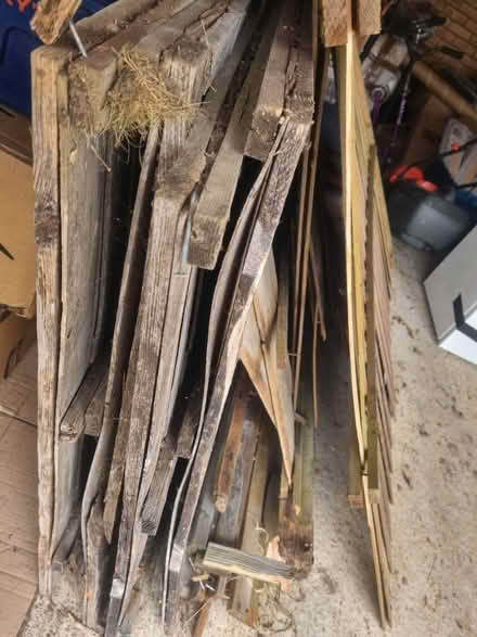 Photo of free Wood for tomorrow's bonfire (Enfield EN3) #1