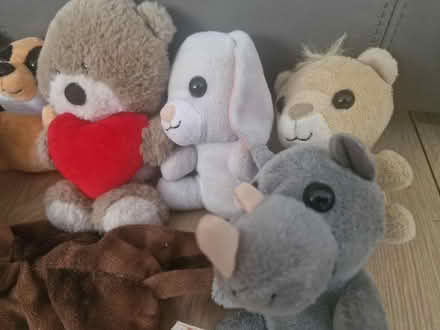 Photo of free Magiki cuddly toy bundle (Isleworth TW7) #3