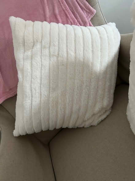 Photo of free 2 white plump cushions (ware SG12) #1
