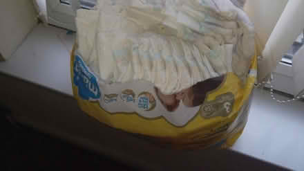 Photo of free Mamia newborn size 3 (Middlesbrough TS1) #1
