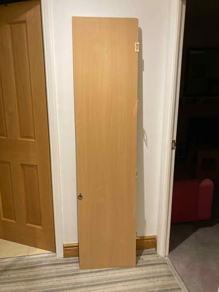 Photo of free Cupboard door / shelves (Brincliffe S11) #1