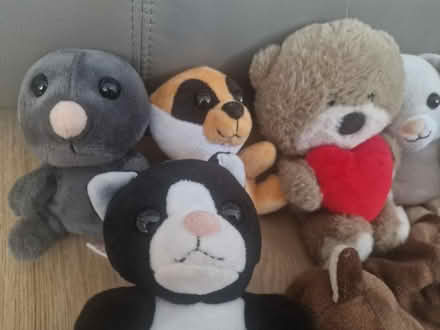 Photo of free Magiki cuddly toy bundle (Isleworth TW7) #2
