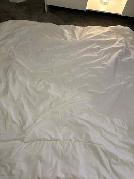 Photo of free Double duvet (Axminster) #2