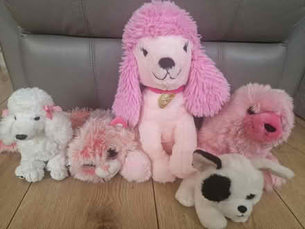 Photo of free PINK cuddly toy bundle (Isleworth TW7) #1