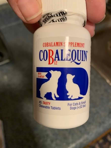 Photo of free B12 suppl for small dogs or cats (Greenbelt) #1