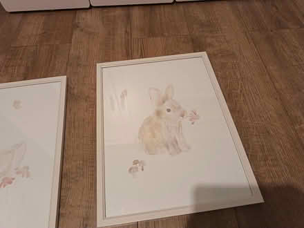 Photo of free 2 pictures for girls / baby room (Droylsden M43) #3
