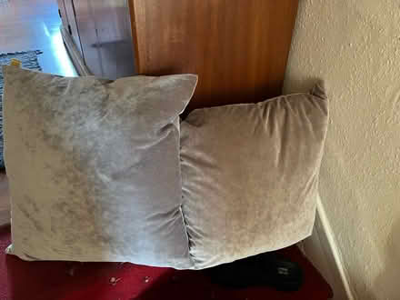 Photo of free Cushions (N10 2NL) #2