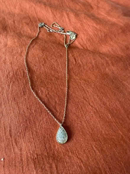 Photo of free Accessorize necklace (Kingston KT5 8) #1