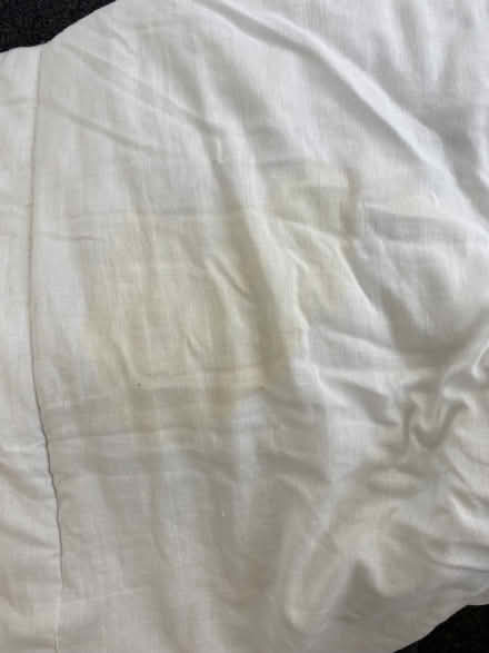 Photo of free Kingsize Duvet (Lower Wolvercote OX2) #3