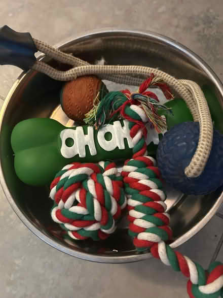 Photo of free Dog Items (Boulton DE24) #1