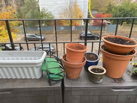 Photo of free Plant pots some with planting (TW1 St Margaret’s) #3