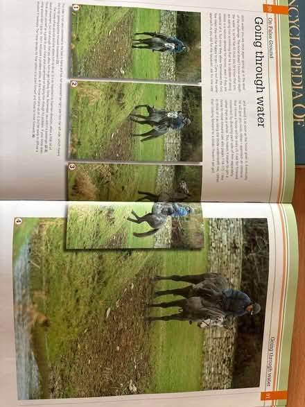 Photo of free 2x large horse books (Shotesham) #4