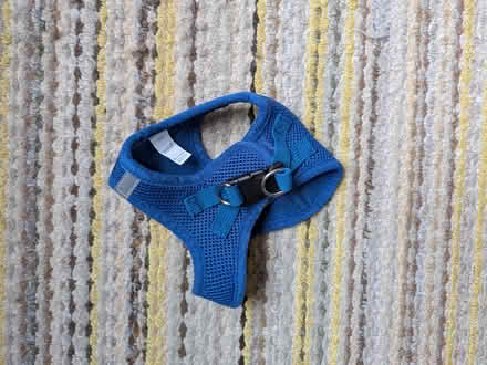 Photo of free Small Pet Harness (Quickie on Parkdale & Scott) #1