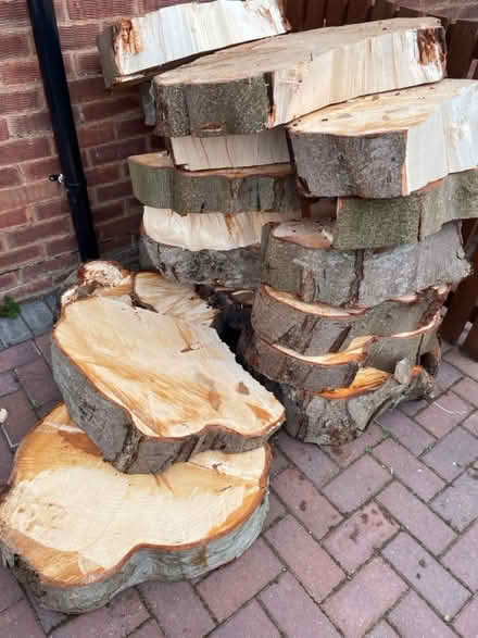 Photo of free Chestnut wood rounds (Longlevens) #1