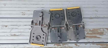 Photo of free Rat trap,rat poison (South reading RG2) #1