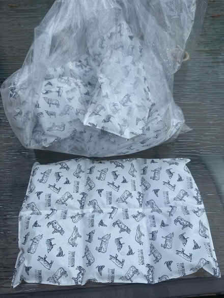 Photo of free Ice packs x6 (Collier Row RM1) #1