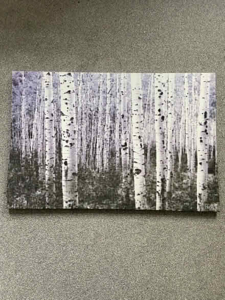 Photo of free Canvas print #2 (Woodhouse S13) #1